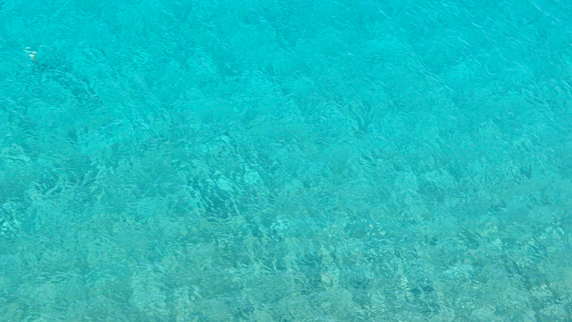 2022-10-22 09 Uhr 55 Wellen (Foto, Video)